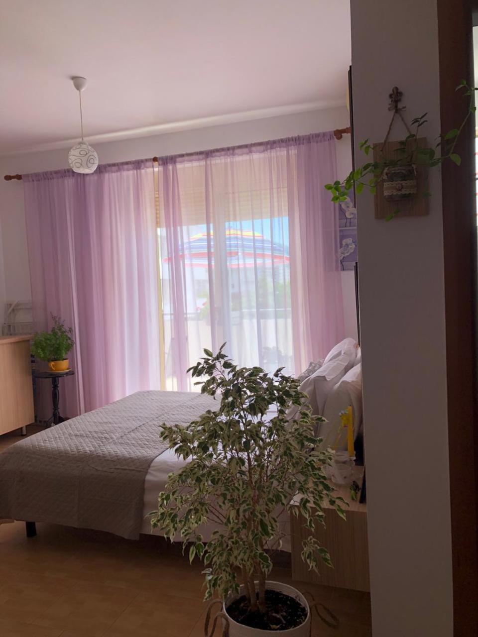 Studio Of Shpresa Vlore Exterior photo
